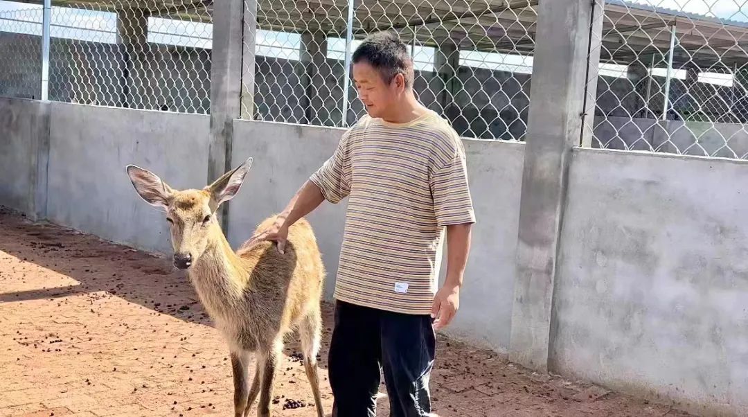 威尼斯人aoo